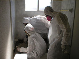 men removing mold wearing tyvek suits for protection
