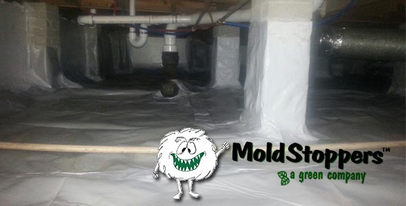 moldstoppers logo in sealed crawl space